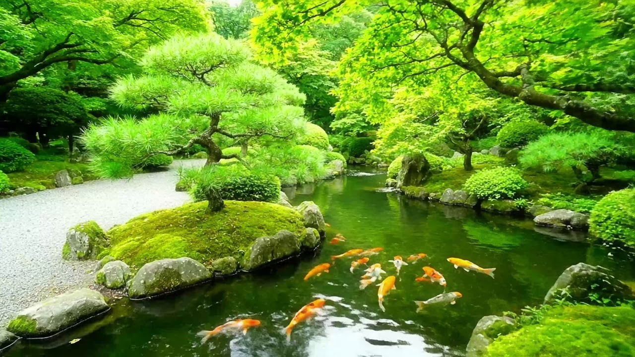 Repair Your Nervous System 🌿 Nature Healing Music, Stress Relief, Water Sounds & Deep Healing