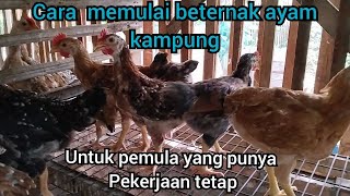 How To Raise Freerange Chickens For Beginners Who Still Have A Main Job