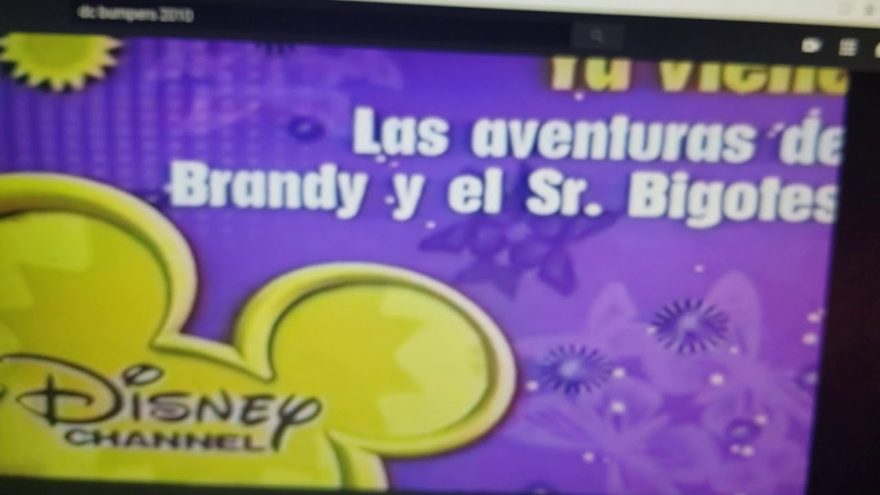 Disney Channel Brandy And Mr Whiskers Bumpers 3 YouTube