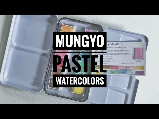 Mungyo Pastel Watercolors - 12 Pan Set 