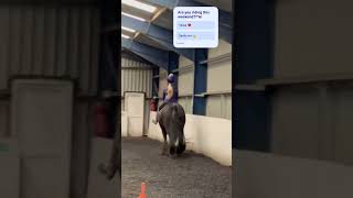 I’m riding today #horse #equestrianjourney #subscribe #pony #equestrian #horsegirl