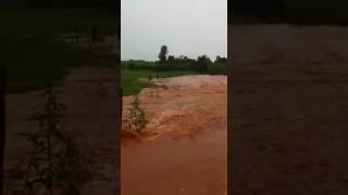Un pequeño arroyo desbordó en la zona de Naranjito