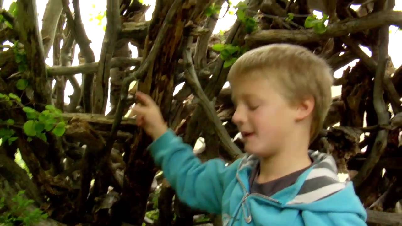 Free Range Children: The Story of Play Team