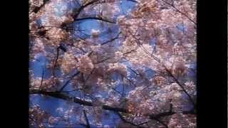四季（春）～ ヴィヴァルディVIVALDI - YouTube