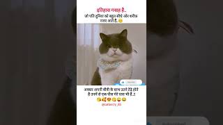 इतिहास गवाह है.. #cute #cat #funny #history #memes #shorts #video #reels #like #subscribe #comment