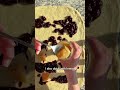 How to Make Blueberry Pull Apart Bread with Lemon Icing