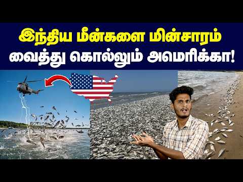 😡😡நம்ம ஊரு மீன்கள் மேல அப்டி என்ன கோவம்? | Why is America electrifying its rivers