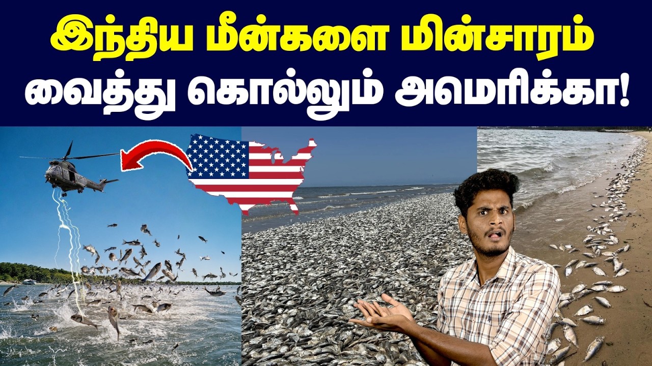 😡😡நம்ம ஊரு மீன்கள் மேல அப்டி என்ன கோவம்? | Why is America electrifying its rivers