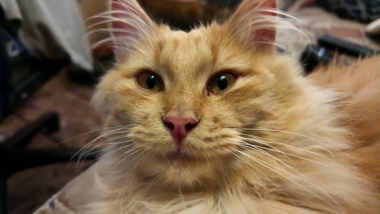 #Славянск. 9 марта 2026г. День))!