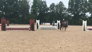 Winning 2’3” Non-Pro Hunter Round at Brave Horse Summer III