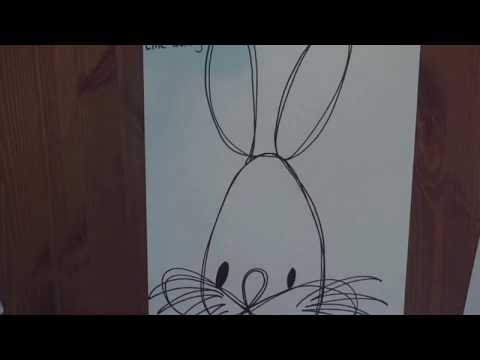 Continuous line bunny directed drawing