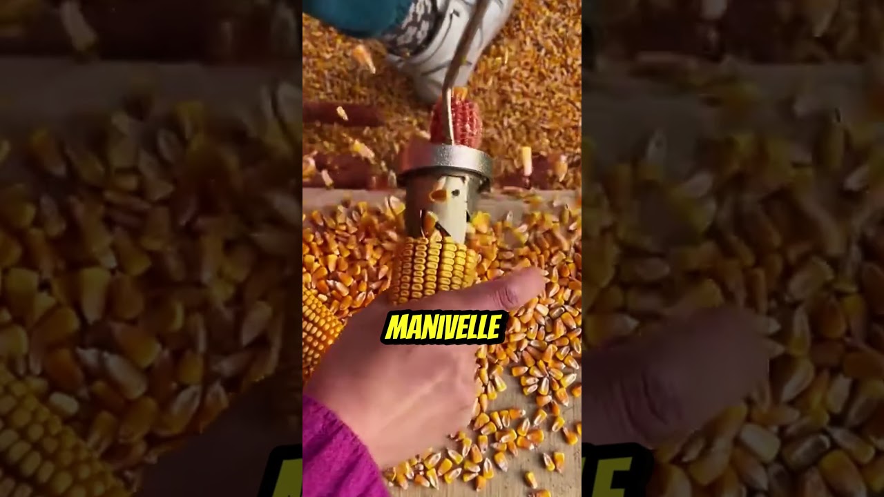 Égreneuse de Maïs : L’Outil Magique pour un Gain de Temps ! 🌽⚙️