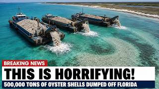 Florida Dumped 500 000 Tons of Oyster Shells Offshore Then This Started to Form