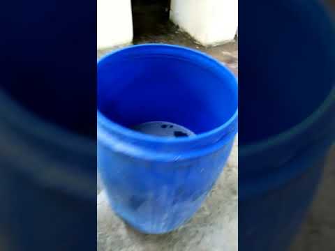 الكمية التي انتهت صناعتها كلور وسائل للجلي