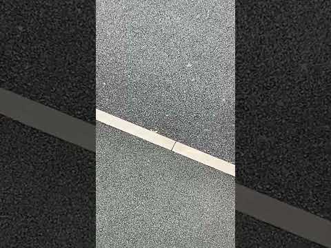 Only 1 Sec Funny Fun Fyp Random Viral Lol Video Trending One Time Onesecond Idkanymore