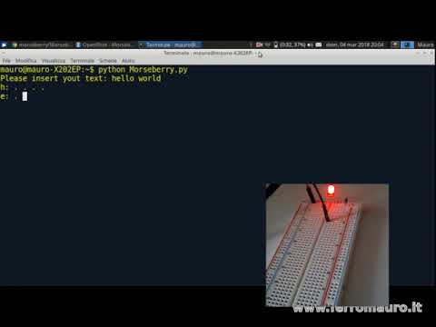 Morseberry | Raspberry project