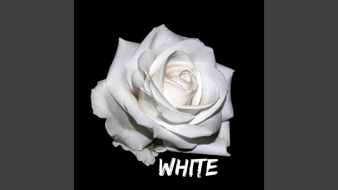 Movement adlı videoyu YouTube'da izle Movement adlı videoyu YouTube'da izle