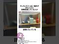 自習は遠慮くださいと書いてある場所で絶対勉強してる人