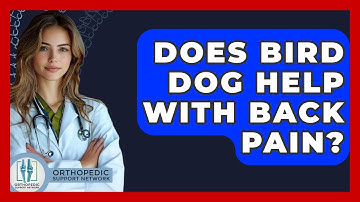 Does Bird Dog Help With Back Pain? - Orthopedic Support Network