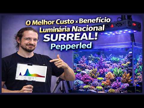 Essa Luminária mais 'Barata' está Entregando Resultado de TOPO