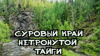 Тайга, пейзажи самых красивых мест с высоты птичьего полёта.