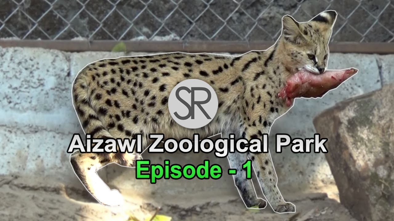 SR : Aizawl Zoological Park Episode-1 | 30.1.2023