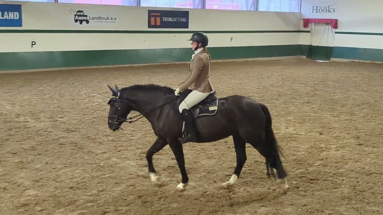 3plass Klubbmesterskap LC Martine Korneliussen med Vognmandgårdens Thora 11/1-2026