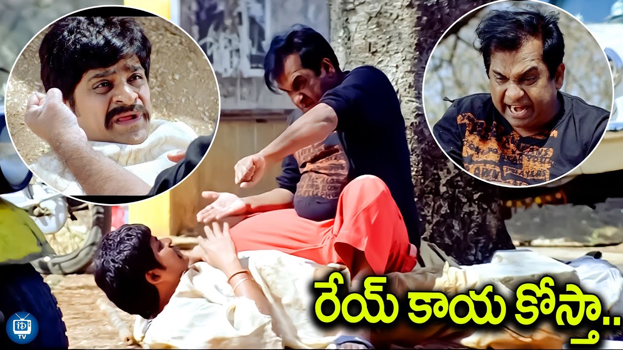 రేయ్ కాయ కోస్తా..| Brahmi And Ali Bichagadu Comedy Scene | Pokiri Movie Scene | iDream TV