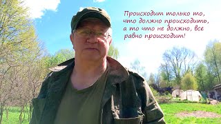 Мы начинаем.  Странные деревья, кто с ними это сделал? Уголь или дрова? Когда же она потечет.