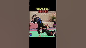 Side Kick tutorial ✓ #shorts #viralshorts