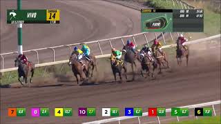 Vidéo de la course PMU PRIX FLY GIRL