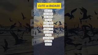 CUTE vs BADASS which one are you #zodiac #zodiacsigns #astrology #astrologysigns #horoscope #tarot