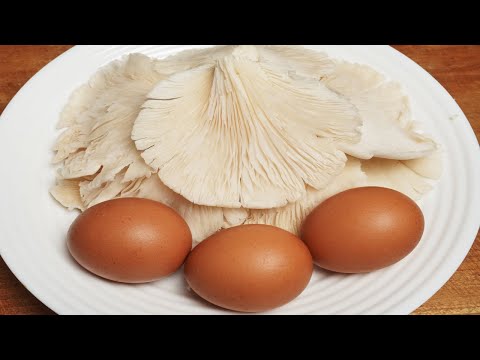 Jamur Telor