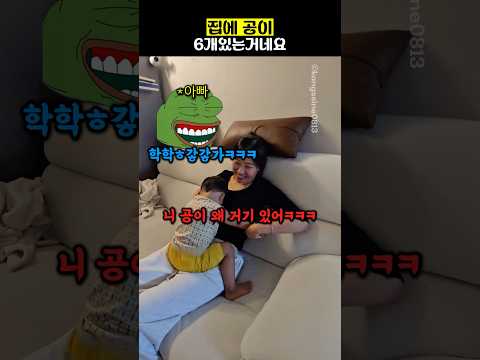 집에 공이 6개있는거네요 thumbnail