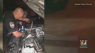 Information Snake Flees Into Officers Patrol Car Guide
