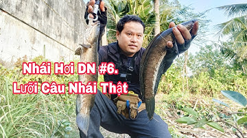 Nhái Hơi DN P6. Câu Cá Lóc Lure Cá Lóc Bằng Nhái Thật Lưỡi Câu Nhái Thật/ Đồ Câu Đại ngáo
