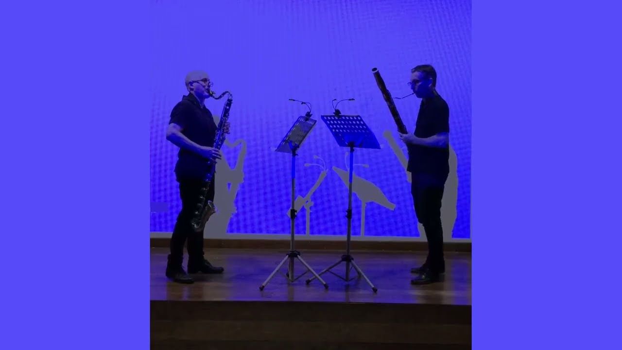 Bass clarinet and Bassoon duet