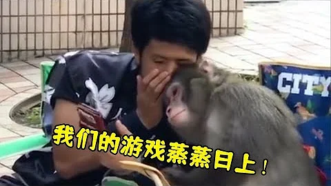 遊戲史上最離譜的騙局！「我們的遊戲正在蒸蒸日上哦」 - 天天要聞