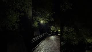 29 мая 2025 г.