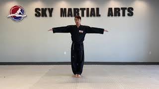 Yellow Belt || Basic Movements