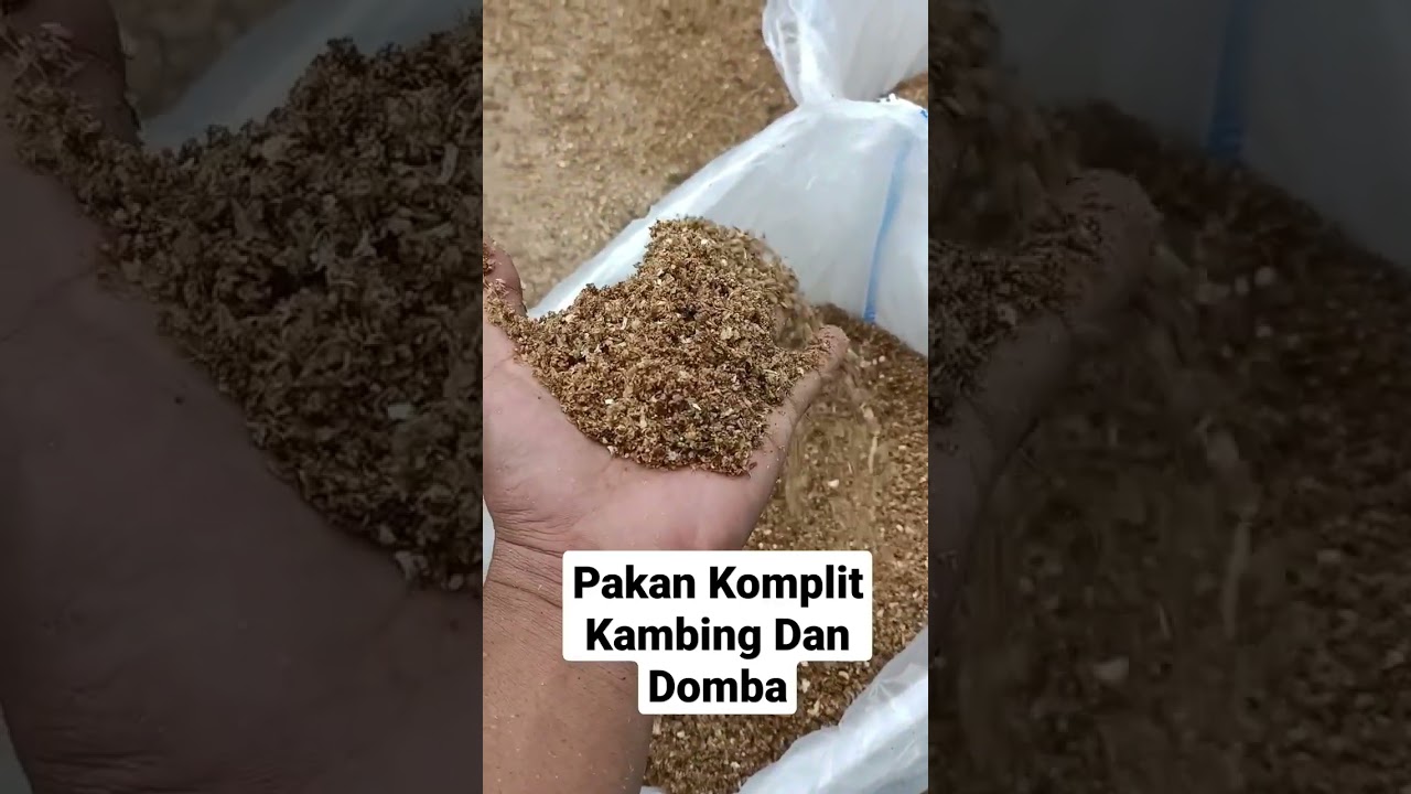 Pakan Komplete Feed Kambing Dan Domba