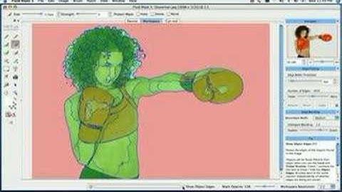 Fluid Mask 3 - Hair and Action Script