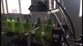 Automatic spindle linear capping machine (for pump caps) Wealth