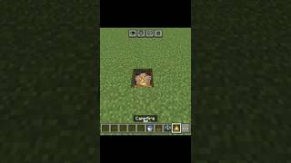 Minecraft tiktok hack#minecraft #pe #hacks #trending #shorts #viralhacks
