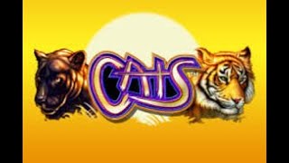 Cats and endless fortune slot play today on Hard Rock online 12/9/20