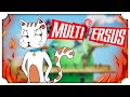 COME (non) GIOCARE A MULTIVERSUS CON STEVEN UNIVERSE