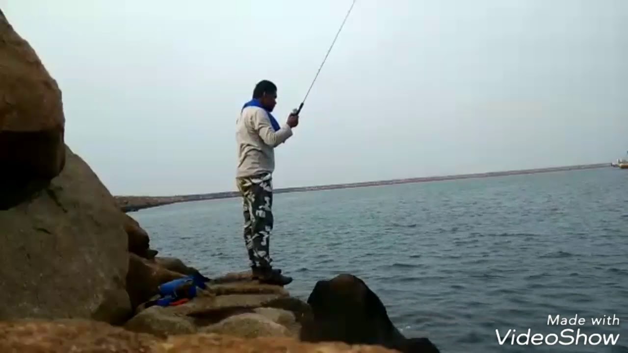 Landbase Jigging ikan Lemoh 780g Kemaman