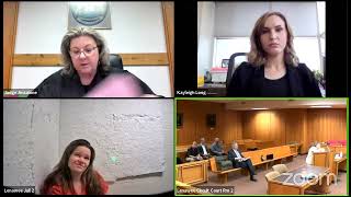 Courtroom Confusion as Two Brittanys Causes Mix-Up During Sentencing Hearing