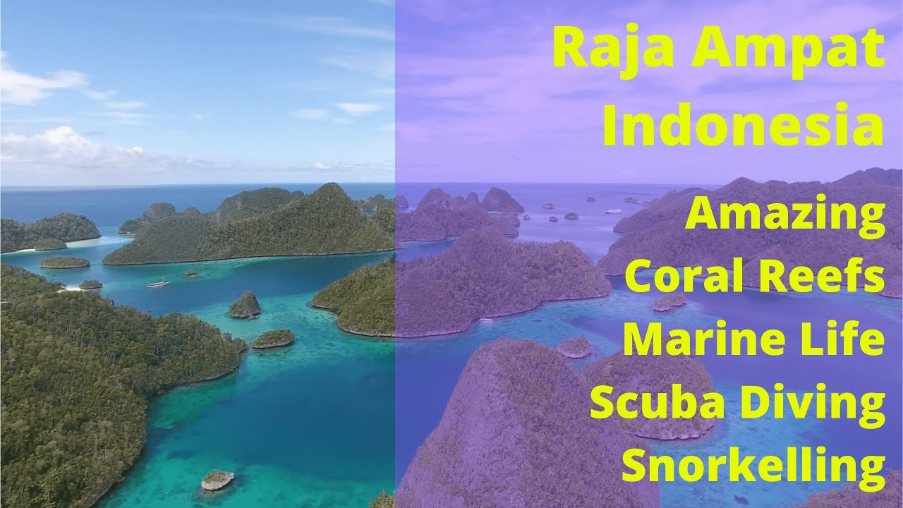 Raja Ampat, Indonesia - Amazing Coral Reefs, Marine Life, Scuba Diving, Snorkelling