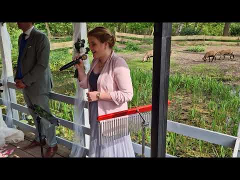 Das größte Kompliment -Florian Künstler Hochzeitssängerin Lübeck Cover